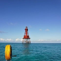 tower in water